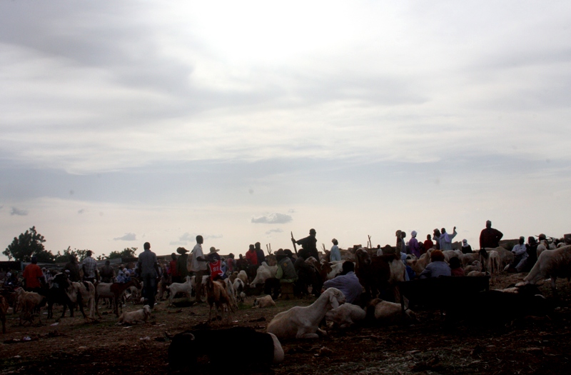 2 - Mercato - Market